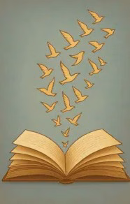 شعر فلسفی نبرد سالمندی از سارا شمیزی